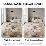 Covor pentru casă - Stil, confort și durabilitate