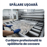 Covor pentru casă - Stil, confort și durabilitate