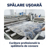 Covor pentru casă - Stil, confort și durabilitate