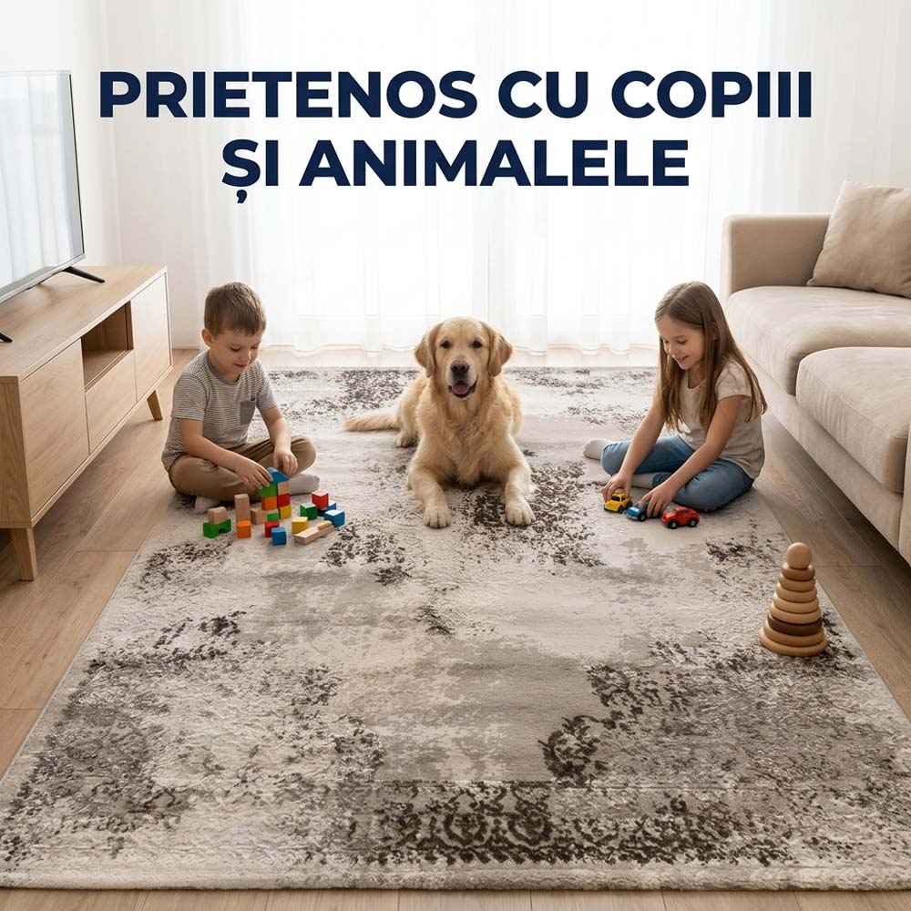 Covor pentru casă - Stil, confort și durabilitate
