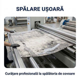 Covor pentru casă - Stil, confort și durabilitate