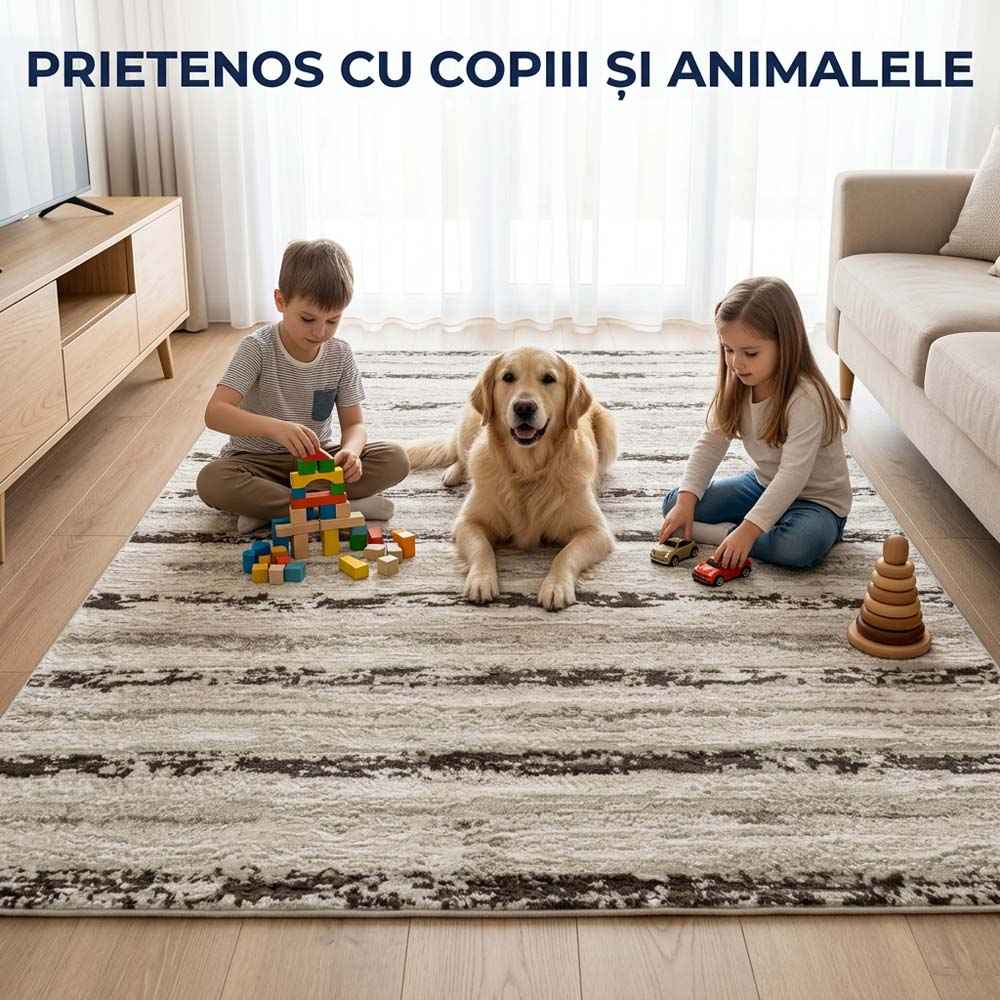 Covor pentru casă - Stil, confort și durabilitate