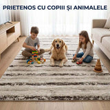 Covor pentru casă - Stil, confort și durabilitate