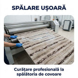Covor pentru casă - Stil, confort și durabilitate