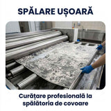 Covor pentru casă - Stil, confort și durabilitate